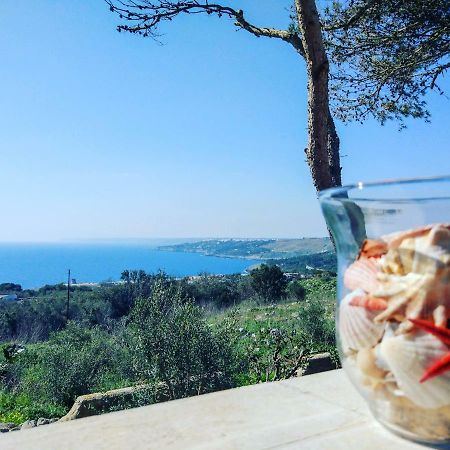Villa Alda - Bilocali Vista Mare Santa Cesarea Terme Εξωτερικό φωτογραφία