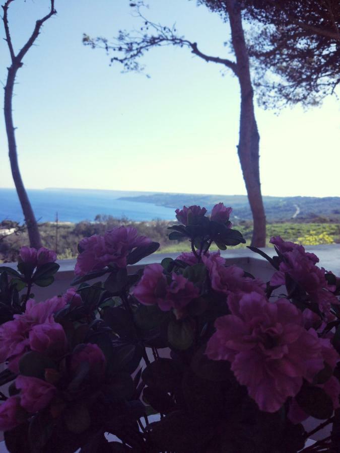Villa Alda - Bilocali Vista Mare Santa Cesarea Terme Εξωτερικό φωτογραφία